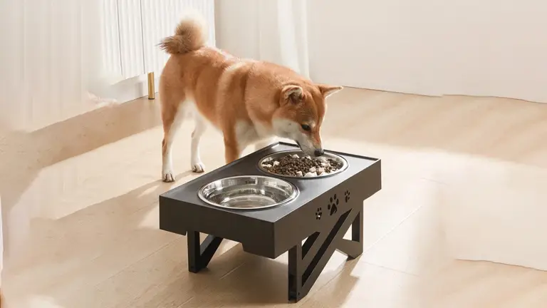 OKEYPETS - Distributeur double de nourriture et d'eau pour animaux de compagnie, surélevé et réglable, en acier inoxydable, avec 2 gamelles. 1