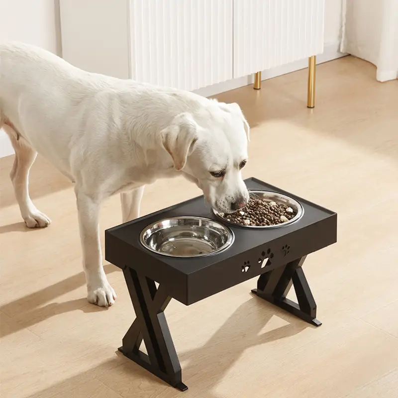 OKEYPETS - Gamelles surélevées à double bol avec support amovible, sûres et antidérapantes, en acier inoxydable. 1