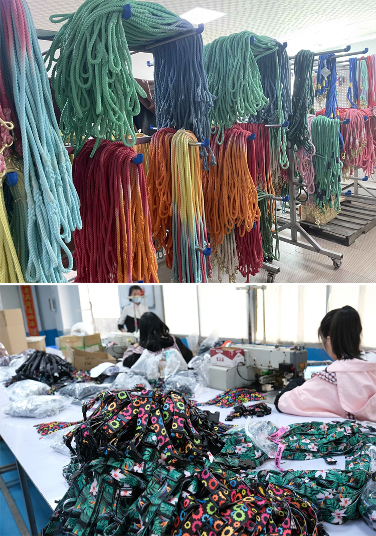 OKEYPETS - Gamelles surélevées à double bol avec support amovible, sûres et antidérapantes, en acier inoxydable. 30