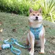 Custom d ring dog harness bulk Manufacturer | OKEYPETS 7