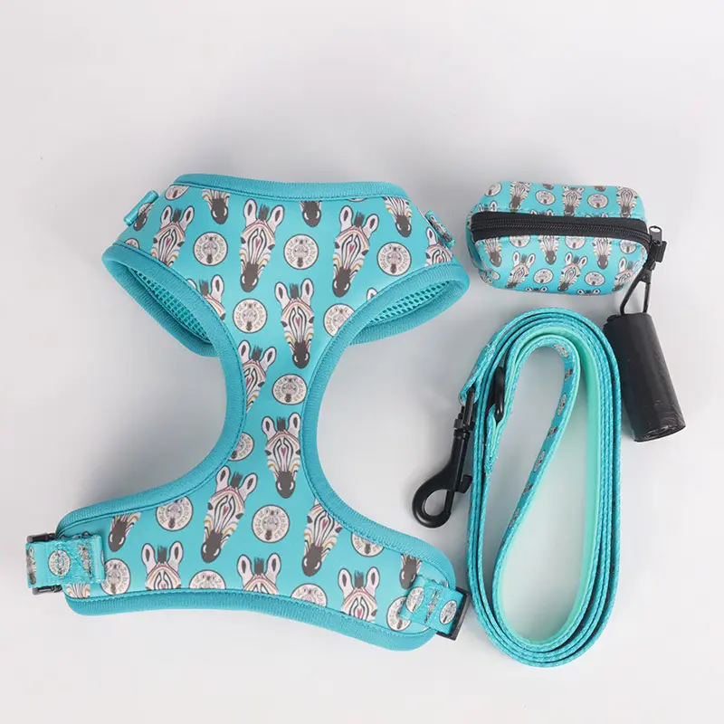Custom d ring dog harness bulk Manufacturer | OKEYPETS 3