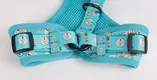 Custom d ring dog harness bulk Manufacturer | OKEYPETS 4