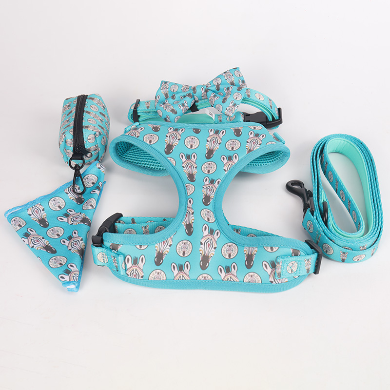 OKEYPETS - Accessoires pour animaux de compagnie OKEYPETS Harnais de sécurité réglable et robuste pour chien, motif personnalisé, collier et laisse pour petit chien. Tous les produits 9