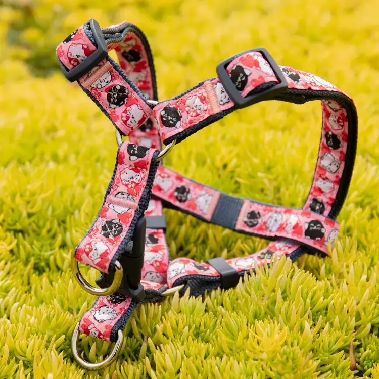 Custom dog bike leash for sale Manufacturer | OKEYPETS 2