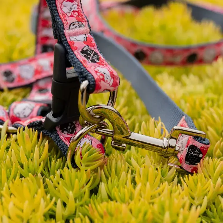 Custom dog bike leash for sale Manufacturer | OKEYPETS 5