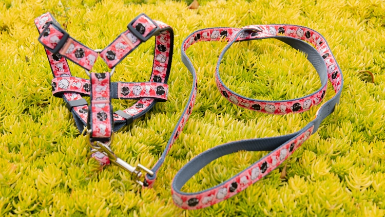 OKEYPETS Fabricant professionnel Harnais pour chien personnalisé en ruban à transfert thermique pour l'extérieur 12