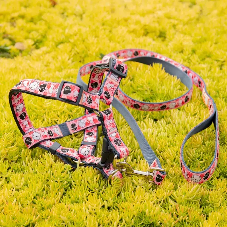 Custom dog bike leash for sale Manufacturer | OKEYPETS 4