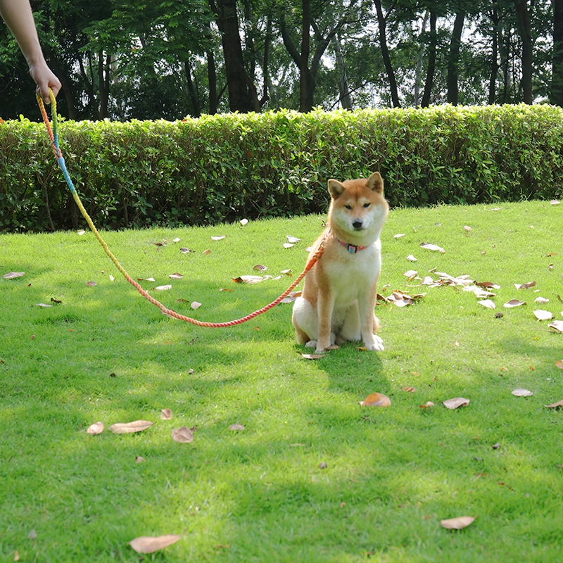 Laisse pour chien en corde de coton de haute qualité, disponible en gros - OKEYPETS 17