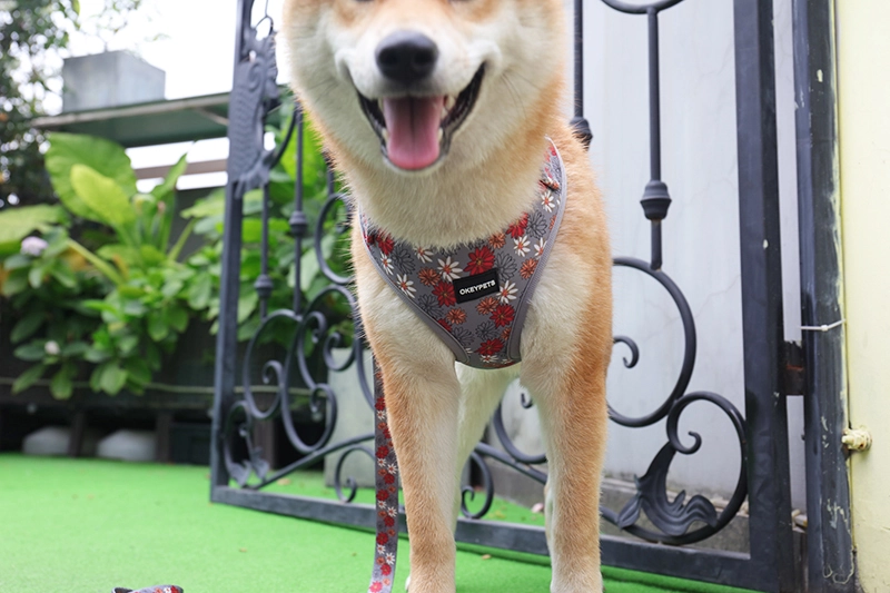 Abah-abah Anjing Berlapik Jaring Lembut Bercetak Bunga Kelabu Tersuai OKEYPETS Untuk Berjalan 11