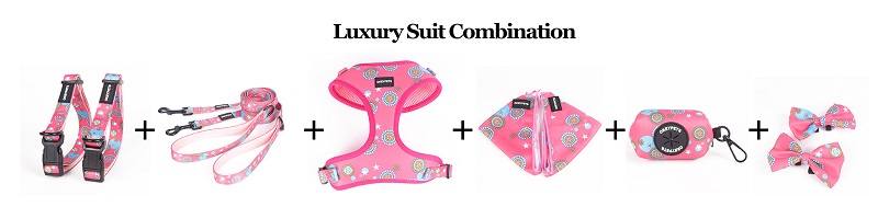 Okeypets Accessoires pour animaux de compagnie Joli Gilet durable pour chiot Harnais personnalisé pour petits chiens 8