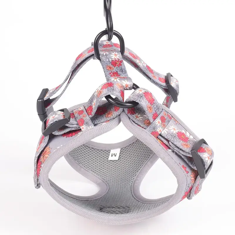 Pielāgotu suņu iejūgu ražotājs ar vadiem | OKEYPETS 4