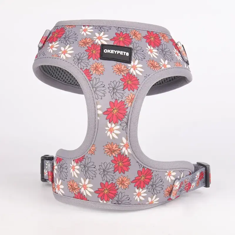 Pielāgotu suņu iejūgu ražotājs ar vadiem | OKEYPETS 2