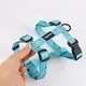 top rated dog harness at Wholesale Prices | OKEYPETS 3