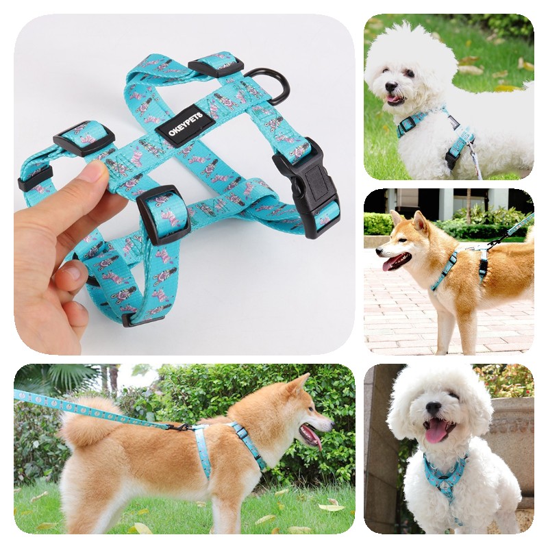 Okeypets Matching H Shape Harness and Leash Set Fashion Style Dog Harness Fully Adjustable Front Clip Back Clip Harness 14