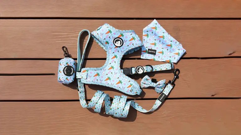 OKEYPETS - Anpassat valpkoppelhalsband justerbart husdjursbajspåse bandana vändbart andningsbart neopren hundsele set 1