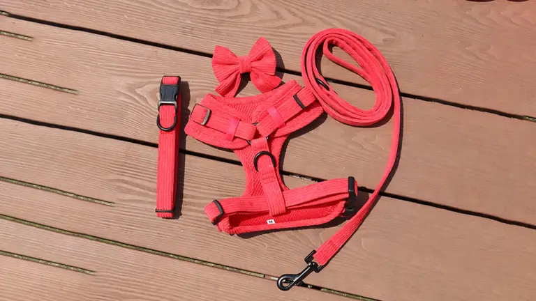 OKEYPETS - Échantillon disponible : ensemble collier, harnais, laisse et sac à déjections canines réglables en velours côtelé souple avec boucle métallique et nœud papillon. 1