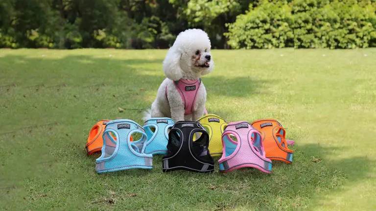 OKEYPETS - OKEYPETS Új Design Luxus Kutyahám Puha, Légáteresztő, Hálós, Fényvisszaverő Kutyahám Fogantyúval 1