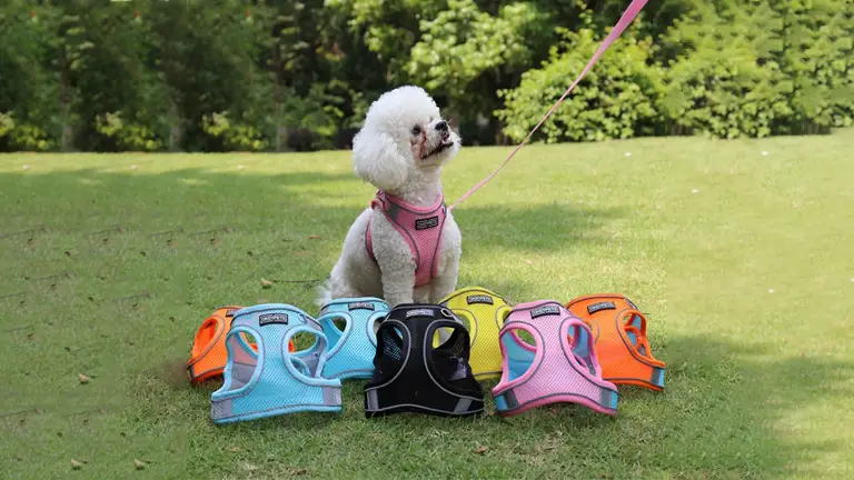 OKEYPETS - Ensemble gilet léger et ajustable en nylon avec laisse, harnais pour animaux de compagnie, sangles de poitrine en maille et harnais réfléchissant pour chien 1