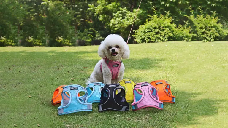 OKEYPETS - Reflekterande rem, andningsbar, bekväm, dragfri, mjuk, kattväst, sele, nätkoppel för små valpar 1