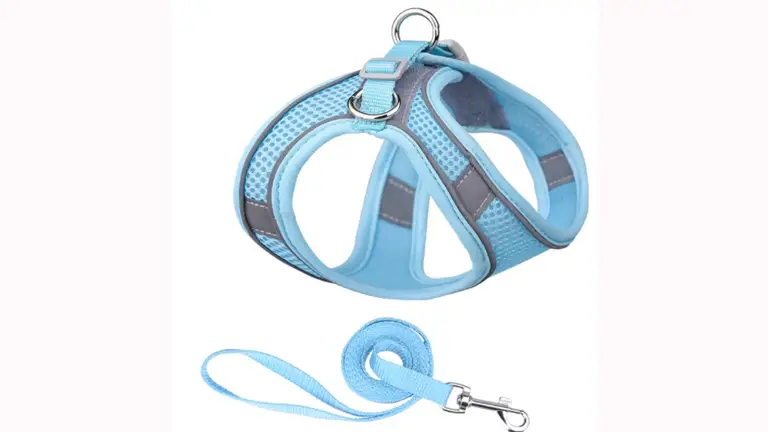 OKEYPETS - Ensemble laisse pour chien, harnais réfléchissant, réglable, souple et aéré, avec harnais réfléchissant en maille. 1