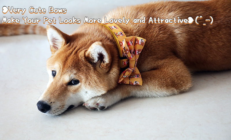 OKEYPETS, fabricant chinois de nœuds papillon personnalisés pour chiens. Nombreux motifs mignons. 7