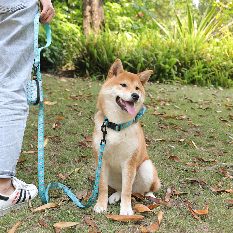 OKEYPETS - OKEYPETS Wholesale Custom Print Pet Collar Sublimation Personalized Neoprene Luxury Adjustable Soft Dog Collars And Leash Hot Selling 8