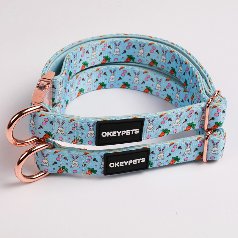 OKEYPETS - Accessoires pour animaux de compagnie multicolores - Colliers pour chiens rembourrés en néoprène, réglables et résistants - Tous les produits 11