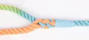 Durable Braided Cotton Dog Leash for Training 6