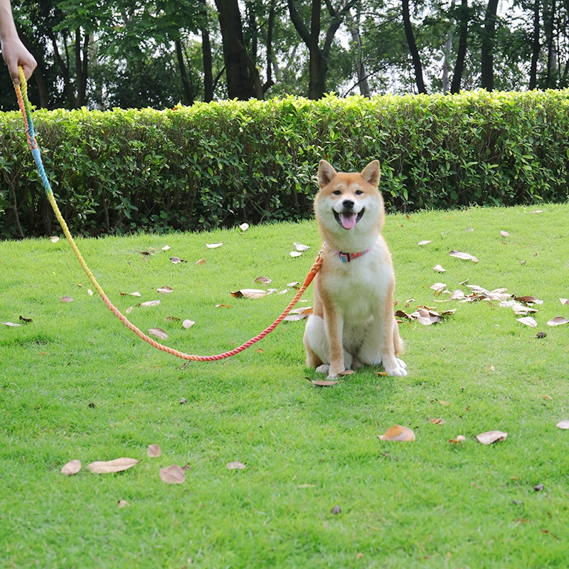 OKEYPETS Laisse pour chien tressée épaisse, faite maison, résistante et idéale pour l'entraînement, la marche, la course et le camping. Corde de traction pour animaux de compagnie. 16