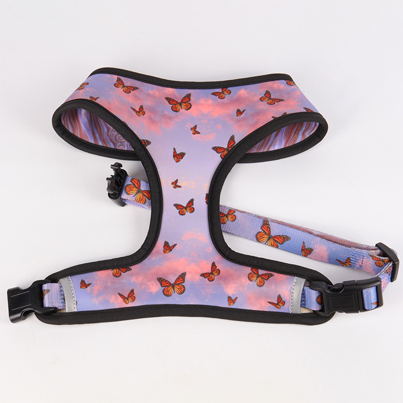 Laisse personnalisée OKEYPETS pour chien, douce et confortable grâce à son motif papillon et sa poignée ergonomique. 14