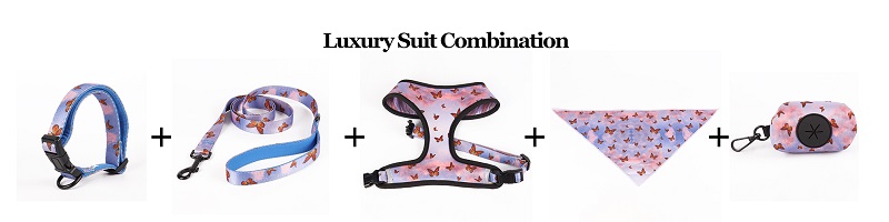 Laisse personnalisée OKEYPETS pour chien, douce et confortable grâce à son motif papillon et sa poignée ergonomique. 17