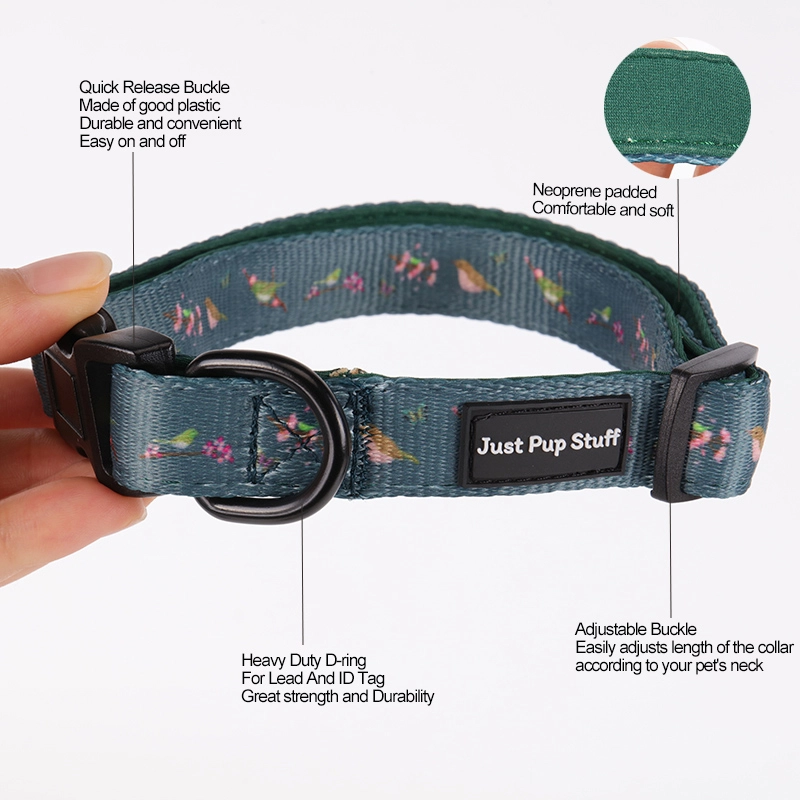 Collier pour chien OKEYPETS noir et vert, personnalisable et ajustable, avec boucle. 7