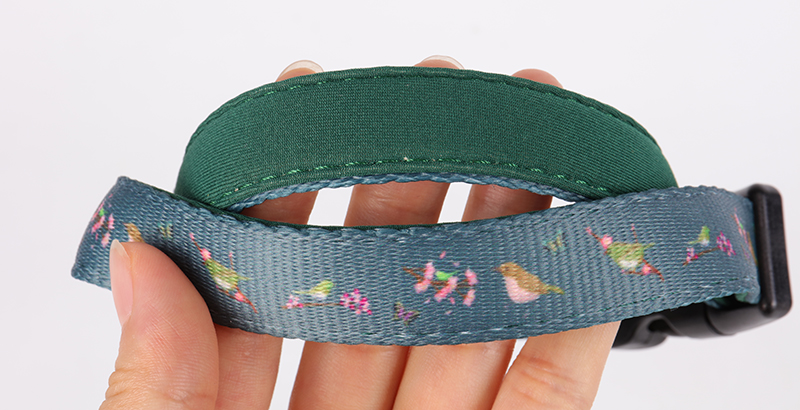 Collier pour chien OKEYPETS noir et vert, personnalisable et ajustable, avec boucle. 8