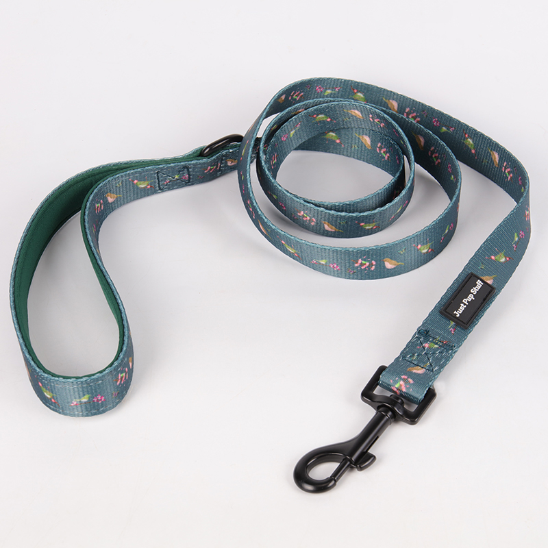Collier pour chien OKEYPETS noir et vert, personnalisable et ajustable, avec boucle. 11