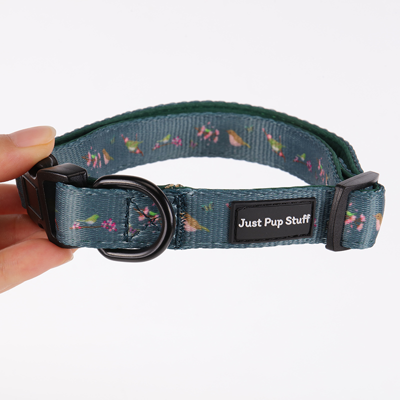 Collier pour chien OKEYPETS noir et vert, personnalisable et ajustable, avec boucle. 9