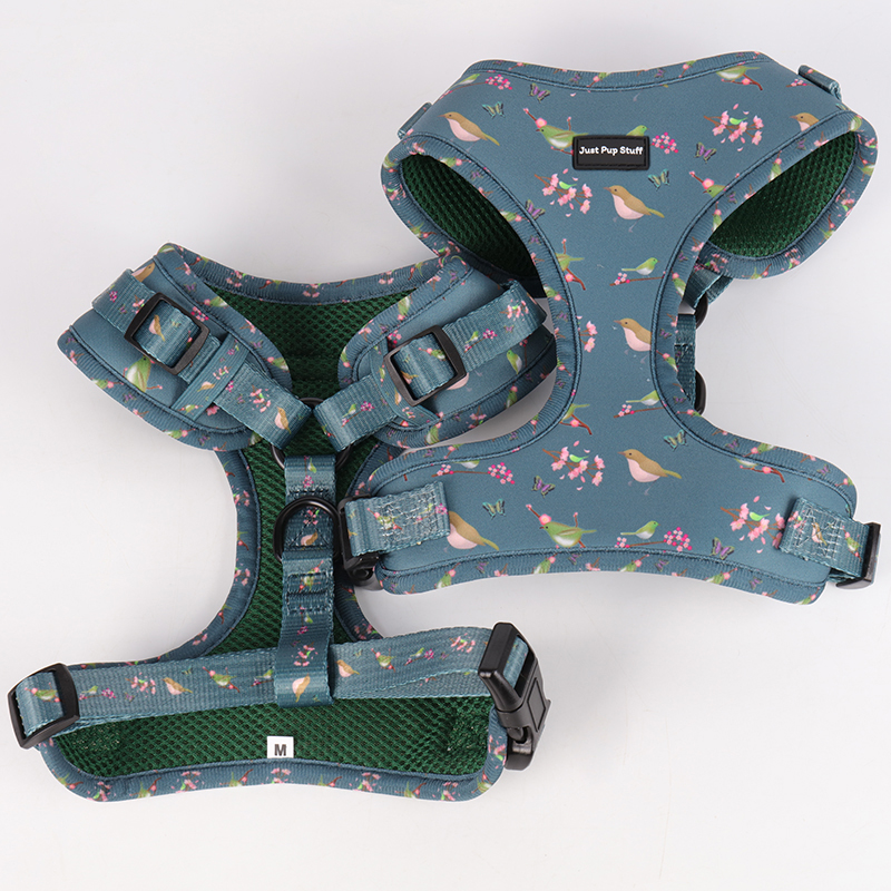 Collier pour chien OKEYPETS noir et vert, personnalisable et ajustable, avec boucle. 10