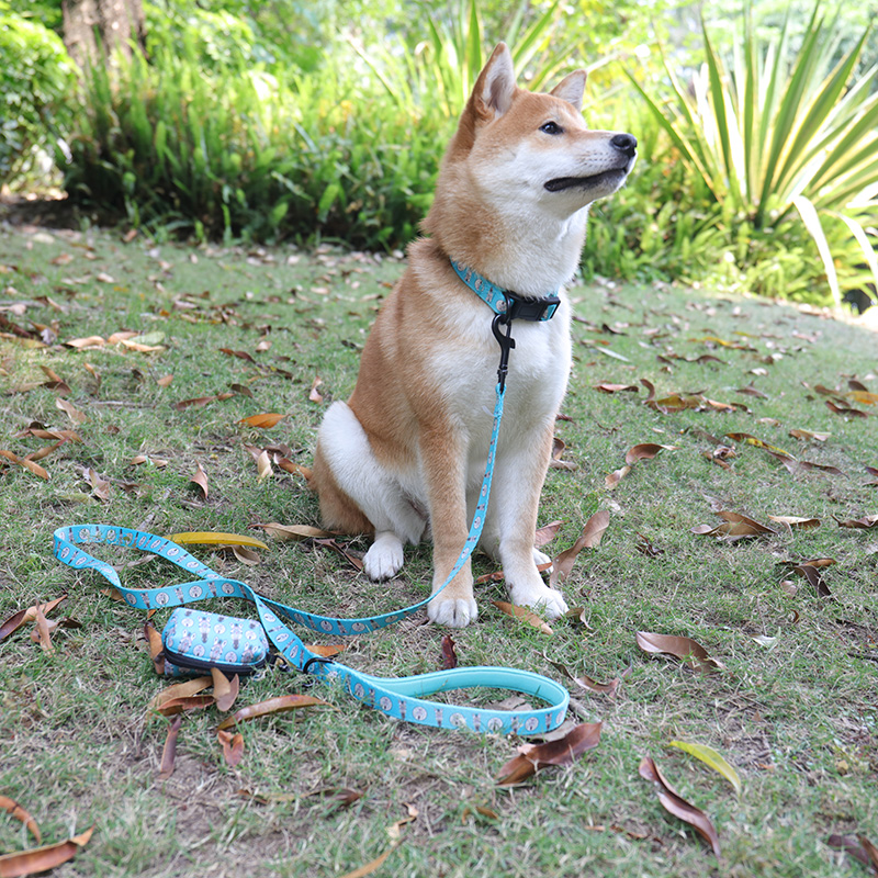OKEYPETS - OKEYPETS Promocyjny wzór OEM Klamra Dwuwarstwowa Kolorowa Smycz dla Psa Sublimacja i Ekologiczny Uchwyt na Torebki na Psie Odchody Smycz dla Zwierząt 7