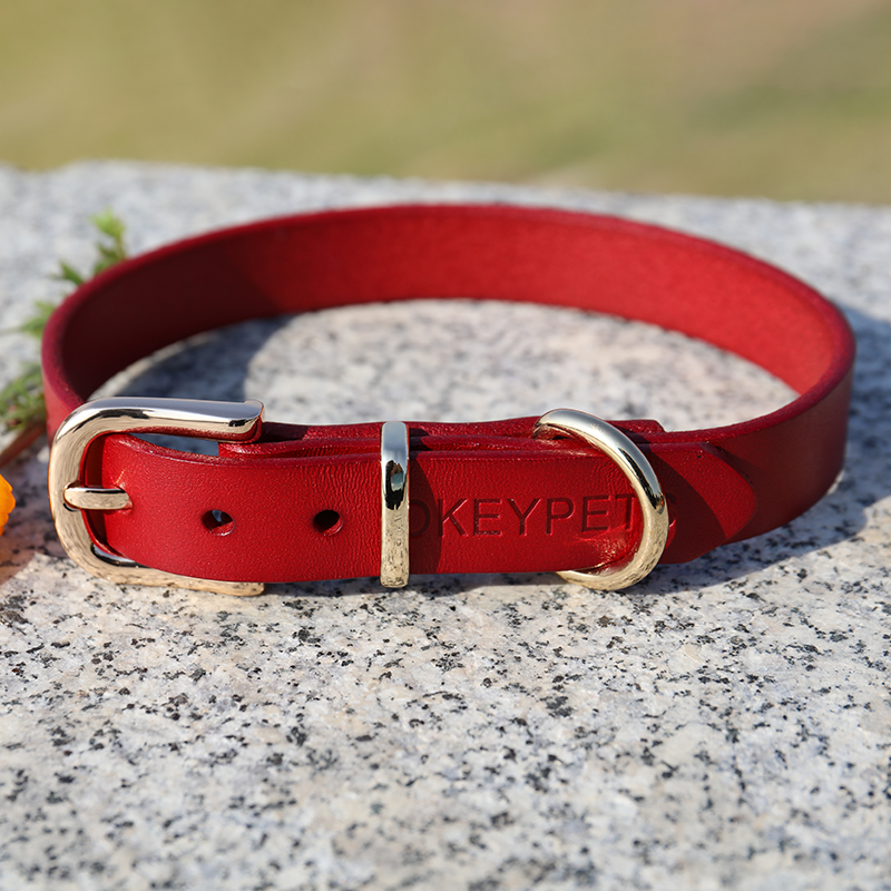 Collier pour chien OKEYPETS en cuir végan de qualité supérieure, durable et réglable 8