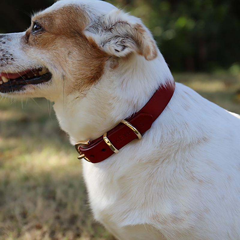Collier pour animaux de compagnie OKEYPETS, bouclerie en alliage, large, en cuir véritable souple et résistant, personnalisable en similicuir. 8