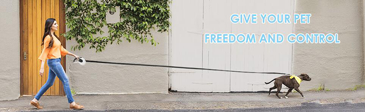 OKEYPETS - OKEYPETS Borong Tali Nilon Anjing Led Secara Automatik Tali Anjing Tugas Berat Panjang Boleh Ditarik Balik Tali Haiwan Peliharaan 8