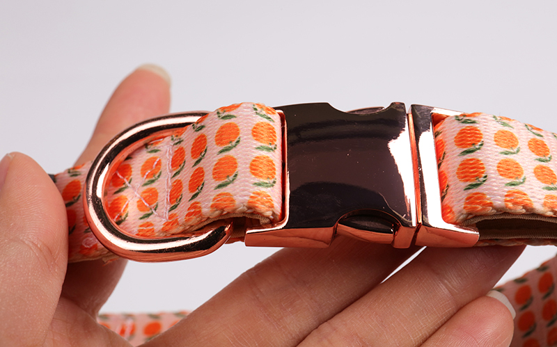 OKEYPETS - Collier coloré et confortable pour animaux de compagnie, écologique, à ouverture rapide, épais, pour chien. Tous les produits 13