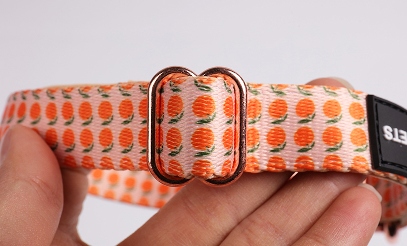 OKEYPETS - Collier coloré et confortable pour animaux de compagnie, écologique, à ouverture rapide, épais, pour chien. Tous les produits 14