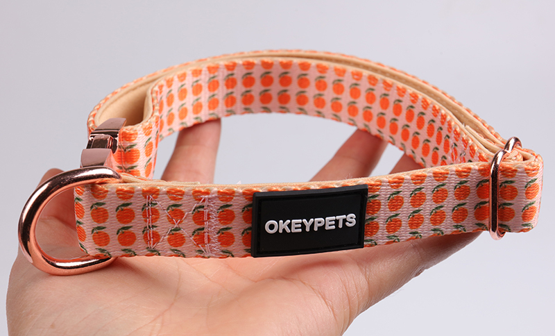 Collier pour chien OKEYPETS coloré, résistant, double couche, rembourré en néoprène doux et confortable. Tous les produits 14