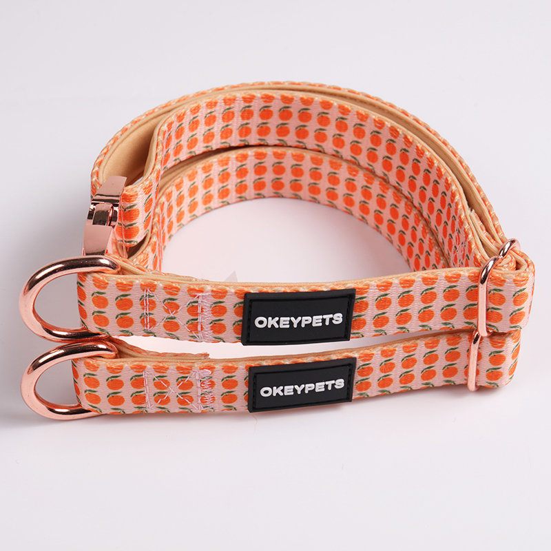 Collier pour chien OKEYPETS coloré, résistant, double couche, rembourré en néoprène doux et confortable. Tous les produits 10