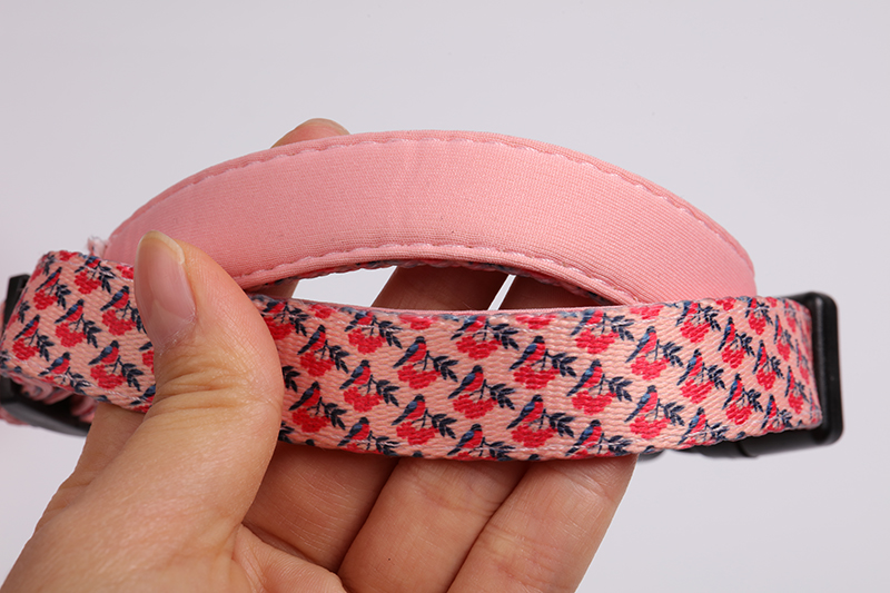 OKEYPETS - Collier pour chien OEM écologique, durable, souple et réglable pour chiens de petite, moyenne et grande taille. Tous les produits 9