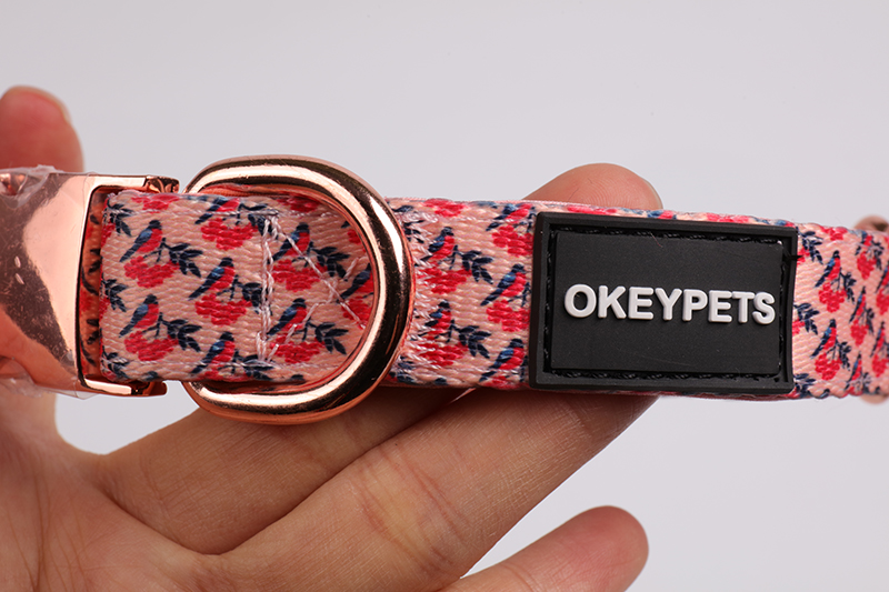 OKEYPETS - Collier pour chien en néoprène personnalisé avec logo, faible quantité minimale de commande. Tous les produits 14