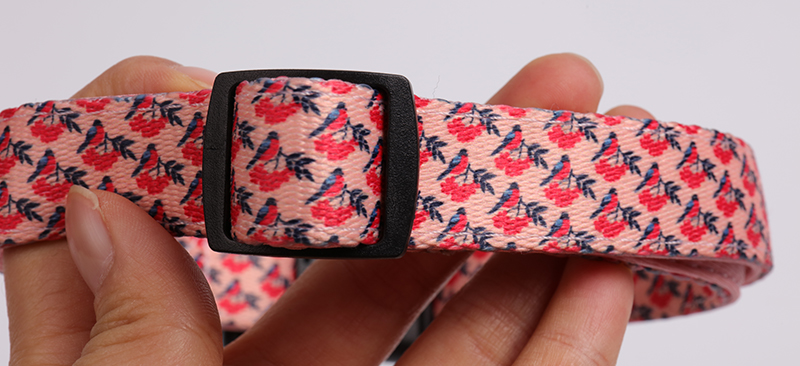 OKEYPETS - Collier pour chien OEM écologique, durable, souple et réglable pour chiens de petite, moyenne et grande taille. Tous les produits 11