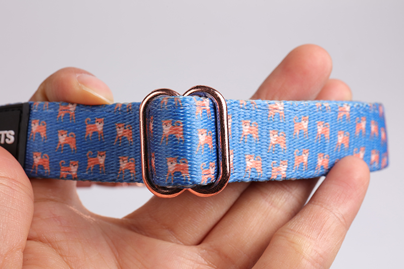 OKEYPETS - Accessoires personnalisés de luxe, colorés et confortables pour animaux de compagnie : collier ajustable en néoprène pour chat et chien. Tous les produits 12