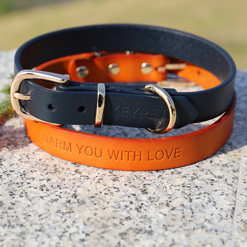 OKEYPETS - Collier pour chien OKEYPETS en cuir de vachette avec boucle en alliage et pointes, à prix compétitif. Confortable pour chiens de petite, moyenne et grande taille. Tous les produits 9