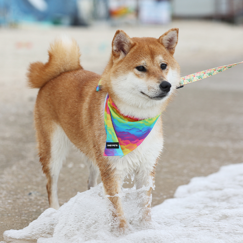 OKEYEPTS OEM Forma Consuetudinaria Sudarium Caninum Lavabile Festivum Natalicium Fascias Flavas Canibus 7